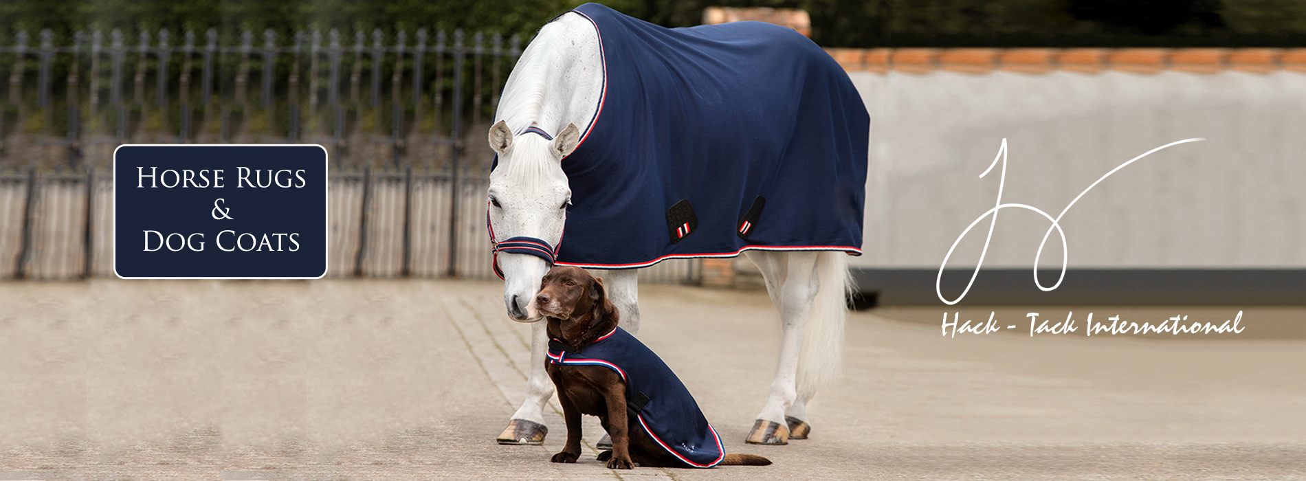 HackTack International